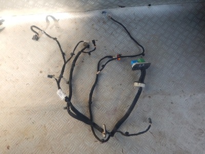 Peugeot rcz электропроводка жгут левых дверь 10 + 6 pin оригинал фото №1