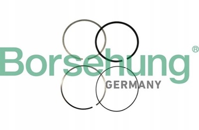 Кільця поршня borsehung do seat altea 1.2 tsi фото №1