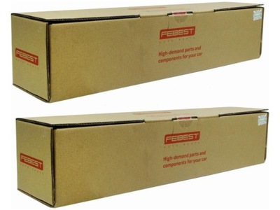 Амортизатори задня febest 21650805r фото №1