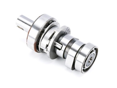 Wałek rozrządu Dominar400