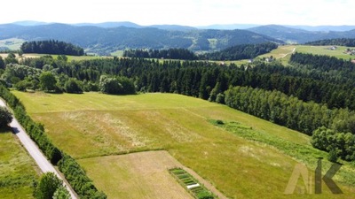 Działka, Mszalnica, 8541 m²