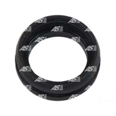 Основа захист. стартер as-pl srs0021 фото №1