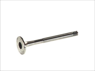 FRECCIA R3647/R SOUPAPE ÉCHAPPEMENT 