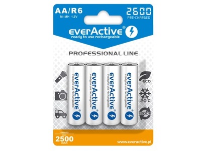 R6 AKU 4BL Everactive 2600 professional