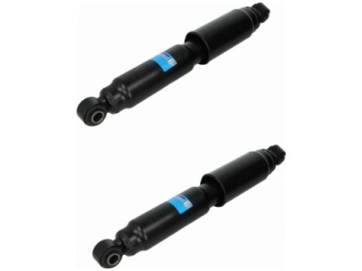 Амортизатори задня citroen jumper ii 2.0-3.0 06-19 фото №1