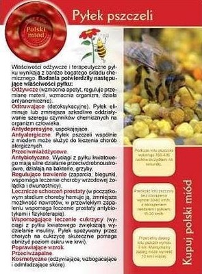 Broszura informacyjna - PYŁEK PSZCZELI ul pasieka