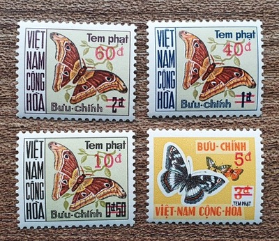 Fauna - Motyl - Wietnam