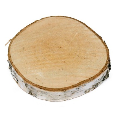 Plaster drewna brzozowy 10-12 cm suchy 1 szt