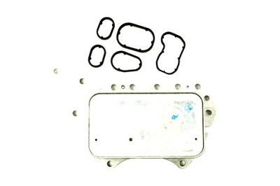 Fast ft55403 радіатор оливи, олія двигунний фото №1