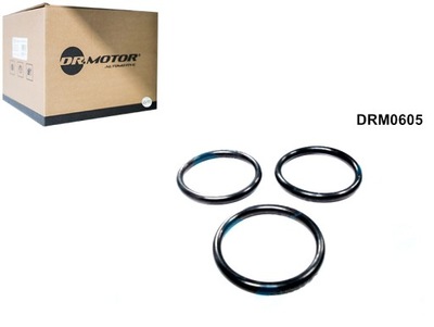 DR.MOTOR AUTOMOTIVE JUEGO ORINGOW DE BOMBA DE AGUA CABLES 3 PIEZAS FORD  