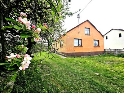 Dom, Lgoczanka, Janów (gm.), 99 m²
