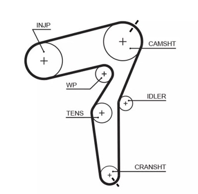 CORREA DISTRIBUCIÓN  