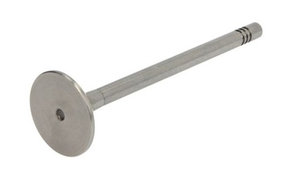 Клапан випускний paradowscy pvwg036 фото №1