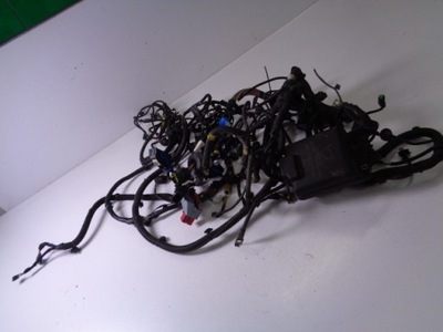 Электропроводка отсек двигателя fiat doblo ii lift 1.3 multijet 2016 rok фото №1