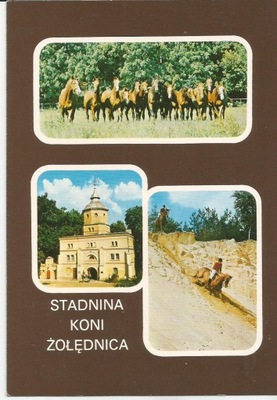 STADNINA KONI - ŻOŁĘDNICA - KONIE