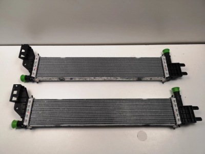 Renault dacia радиатор воды 214109155r фото №1