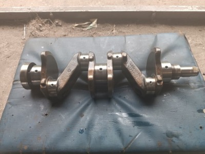 Wał колінчастий polonez фото №1