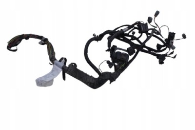 Електропроводка відсік двигуна ліва discovery iv 3.0d фото №1