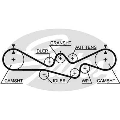 РЕМЕНЬ ГРМ GATES 5537XS