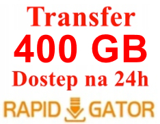 RAPIDGATOR.NET RG.TO 24H KONTO PREMIUM ORYGINALNE LIMIT 400GB