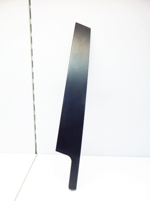 Scenic iii 09-16 молдинг двері перед права dekor фото №1