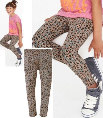 next Legginsy animals 5 lat 110cm