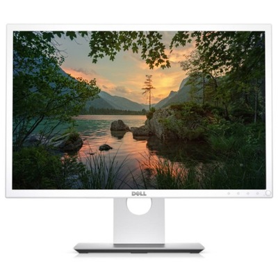 Monitor Dell P2217WH 22'' LED 1680x1050 HDMI Biały