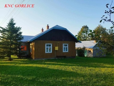 Dom, Dominikowice, Gorlice (gm.), 100 m²