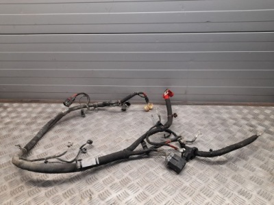 Ford mustang vi 2016 с передний plus / клемма / шланг аккумулятор фото №1