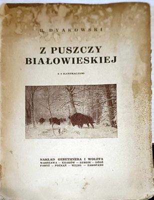 Dyakowski Z puszczy Białowieskiej 1926