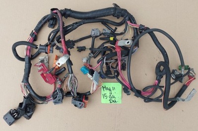 Джгут двигуна renault megane ii 1,5 dci фото №1