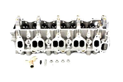 Ashika головка фото №1