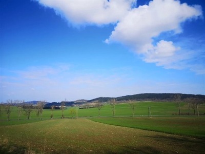 Działka, Pustelnik, 932 m²