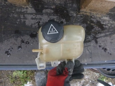 Бачок розширювальний countryman r60 фото №1