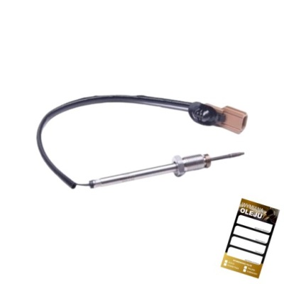 CAPTEUR TEMP GAZ D'ÉCHAPPEMENT RENAULT CLIO III KANGOO GRAND KANGOO EO-006873 