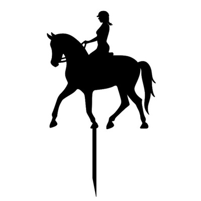 Jazda konna Dziewczyna kobieta na koniu Koń Topper