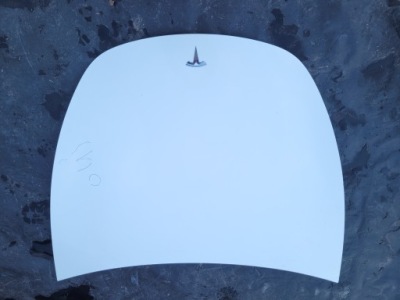 Капот крышка двигателя ppsw tesla model y 20- фото №1