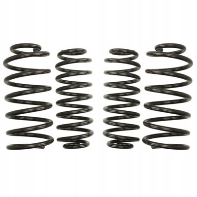 EIBACH E10-85-005-01-22 SET ZAWIESZENIA, SPRING - milautoparts-fr.ukrlive.com