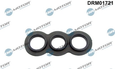 DR.MOTOR DRM01721 USZCZELKA, TERMOSTATO  