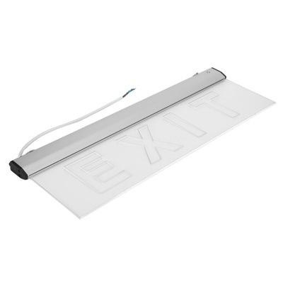 AC220V 3W LED (СВЕТОДИОД ) IP30 600X200MM/23,62X7,87IN ПЛАФОН KONTROLNA EWAKUACJI FM