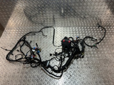 Жгут левый лонжерон jeep avenger 23- 1.2 thp фото №1