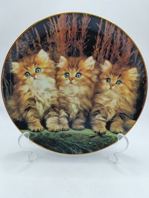 Kolekcjonerski talerz kot kotki kocięta małe koty perskie rude