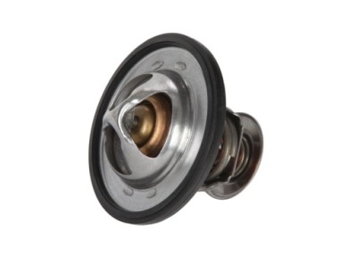 Термостат с уплотнитель. 82 st - continental 28.0200-4170.2 фото №1