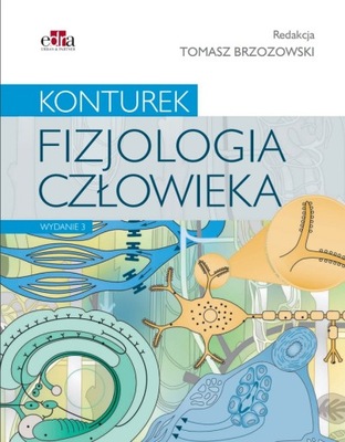 FIZJOLOGIA CZŁOWIEKA - KONTUREK ~2019~