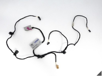 Audi r8 420 lift 07-15 електропроводка джгут двері правих перед 420971036d фото №1