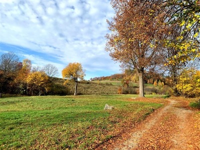 Działka, Jugów, Nowa Ruda (gm.), 2996 m²