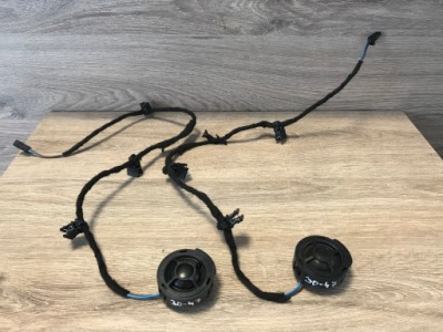 Динамик bang olufsen левый задняя правый audi a8 s8 d3 фото №1