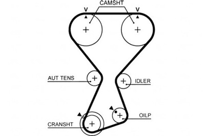 Ремінь розподільного валу gates 2431238210 2431238220 791333 фото №1