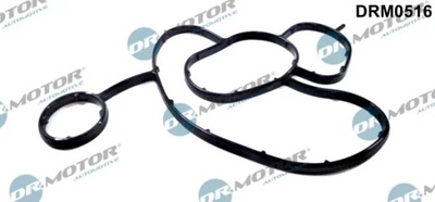 GASKET GROUNDS FILTER OILS DRM0516/DCM  