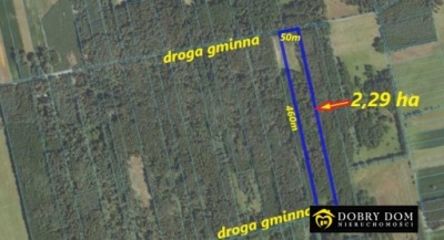 Działka, Gredele, Orla, Bielski, 22900 m²